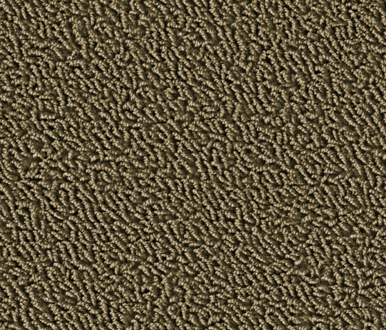 Sheen 1206 Topinambur by OBJECT CARPET | Wall-to-wall carpets