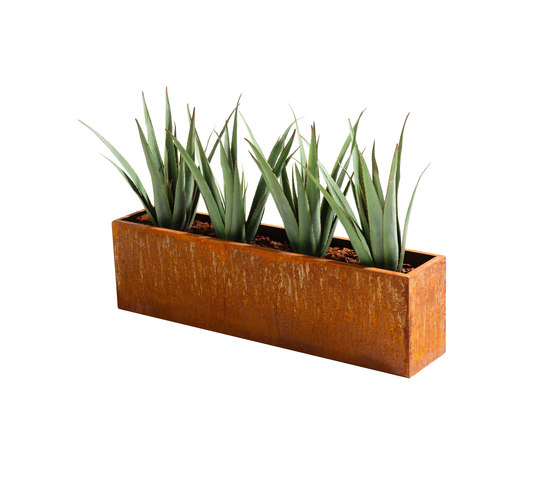 Plant | Vasi piante | Svedholm Design