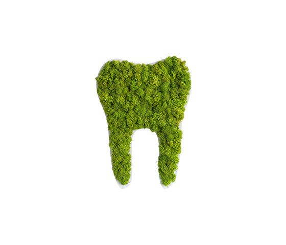 pictogram | reindeer moss tooth maygreen 30cm | Symbols / Signs | styleGREEN