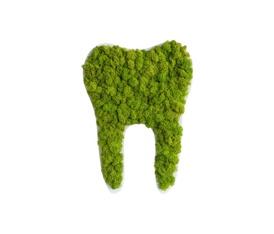 pictogram | reindeer moss tooth maygreen 60cm | Pictogramas | styleGREEN