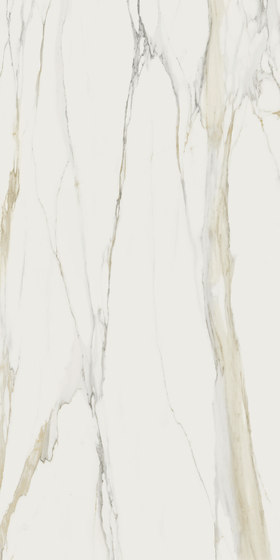 Marble Calacatta Gold B | Panneaux céramique | FLORIM