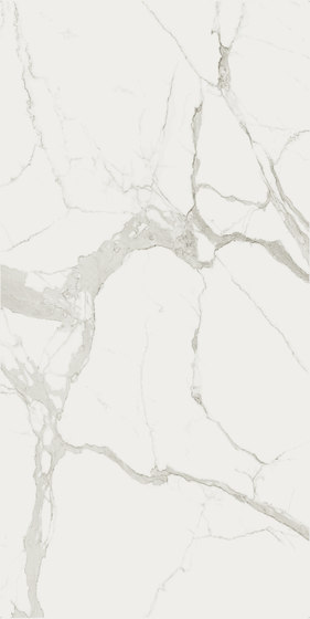 Marble Statuario B | Ceramic panels | FLORIM