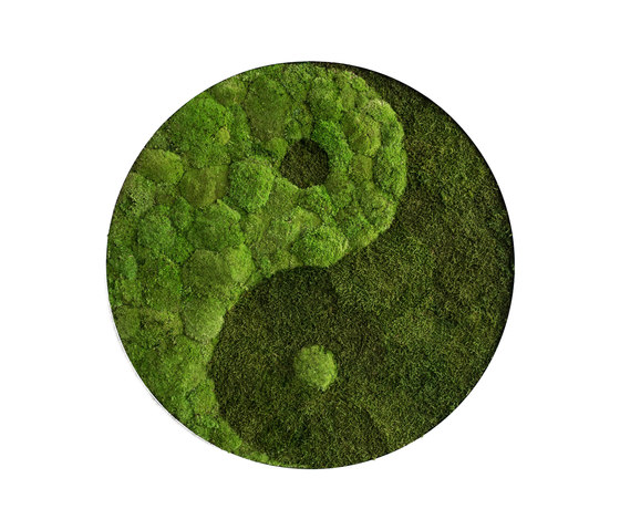 Circle | Pole moss yin and yang 80cm | Pareti vegetali | styleGREEN