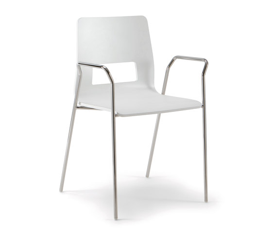 Celsius | Stühle | Quadrifoglio Group