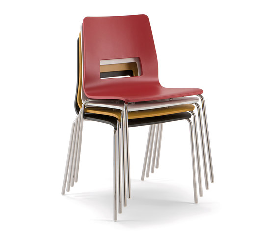 Celsius | Chairs | Quadrifoglio Group
