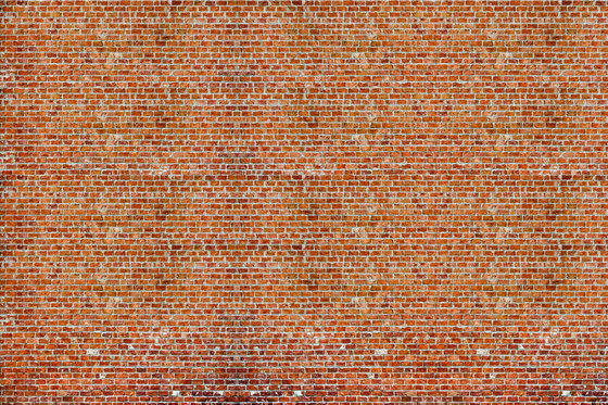 Bricks | Wall art / Murals | INSTABILELAB