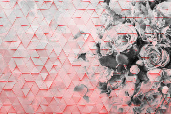 Decomposed Rose | Quadri / Murales | INSTABILELAB
