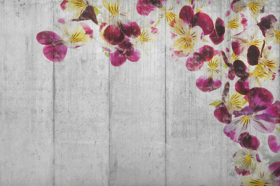Flowered Cement | Wandbilder / Kunst | INSTABILELAB