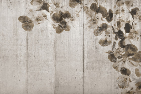 Flowered Cement | Wandbilder / Kunst | INSTABILELAB