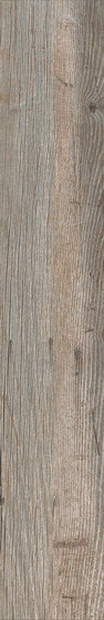 Country Wood - Country Tortora | Panneaux céramique | Casalgrande Padana