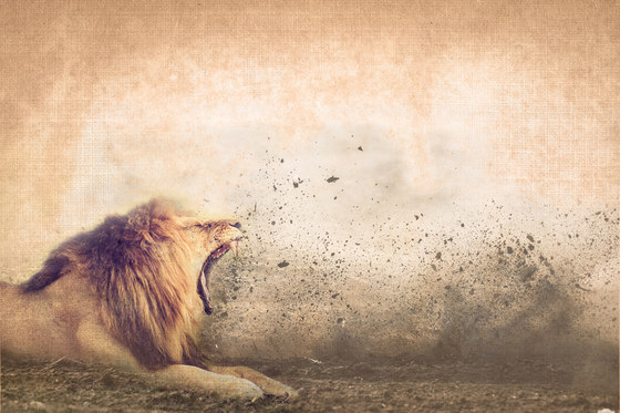 Roar Of The Lion | Wandbilder / Kunst | INSTABILELAB