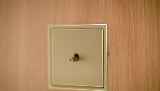 LS 1912 toggle switch | Interruptores a palanca | JUNG