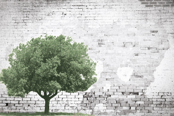The Tree And The Wall | Wall art / Murals | INSTABILELAB
