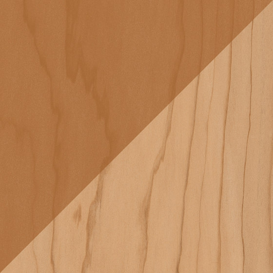 Essences | Cedar Decor 20 | Carrelage céramique | Marca Corona