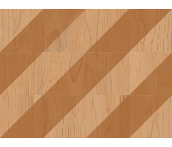 Essences | Cedar Decor 20 | Carrelage céramique | Marca Corona