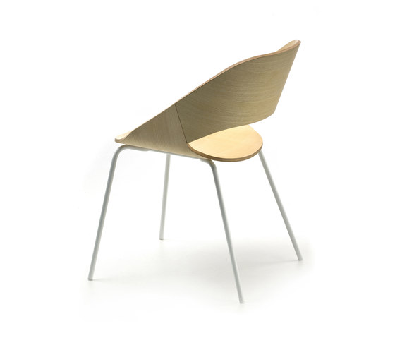 Kabira Wood 4L | Chairs | Arrmet srl