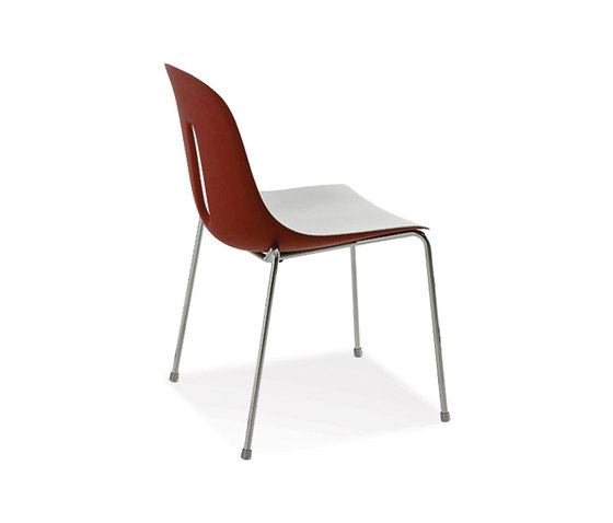 Dining Chair - Bonn | Chairs | BK Barrit