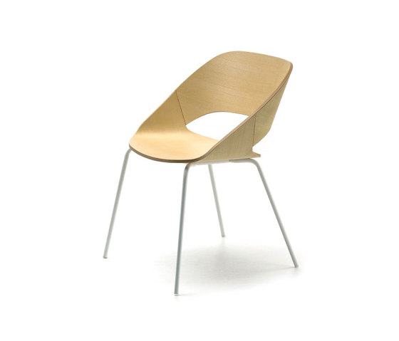 Dining Chair - Nevada | Stühle | BK Barrit