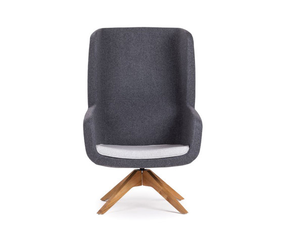 Lounge Chair - Delano | Fauteuils | BK Barrit