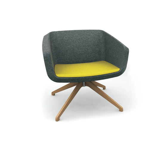 Lounge Chair - Delano | Poltrone | BK Barrit