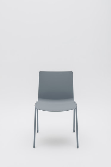 Shila | Chairs | MDD