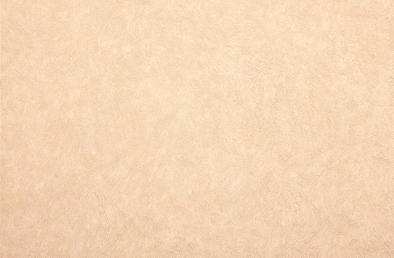 STATUS - Solid colour wallpaper EDEM 9009-22 | Wall coverings / wallpapers | e-Delux