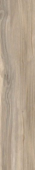 Woodie Brown | Carrelage céramique | Rondine