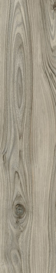 Woodie Green | Carrelage céramique | Rondine