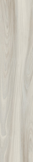 Woodie White | Piastrelle ceramica | Rondine