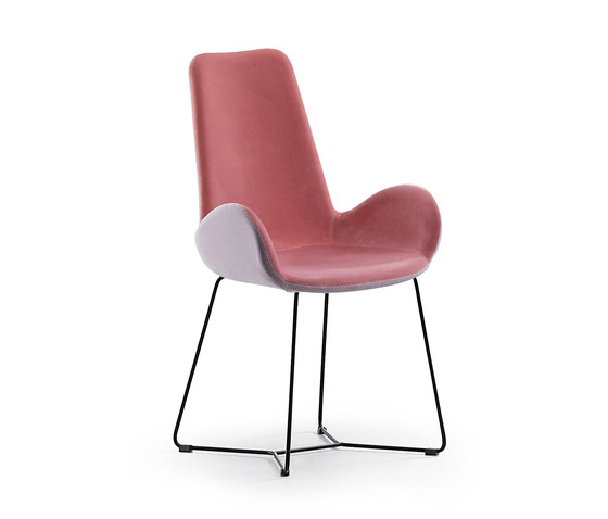Dalia PA T | Chairs | Midj