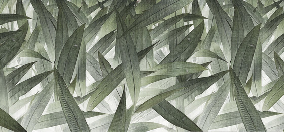 jungle | foliage | Peintures murales / art | N.O.W. Edizioni