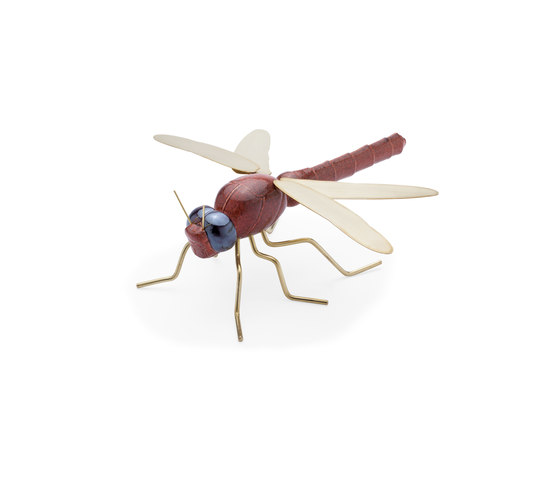 Fauna Dragonfly | Objekte | Mambo Unlimited Ideas
