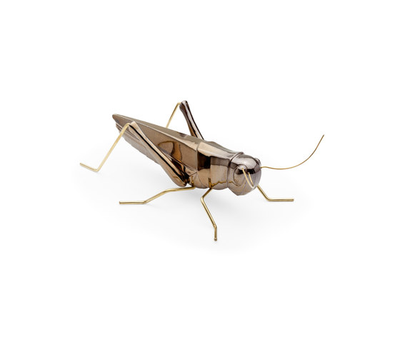 Fauna Grasshopper | Objekte | Mambo Unlimited Ideas