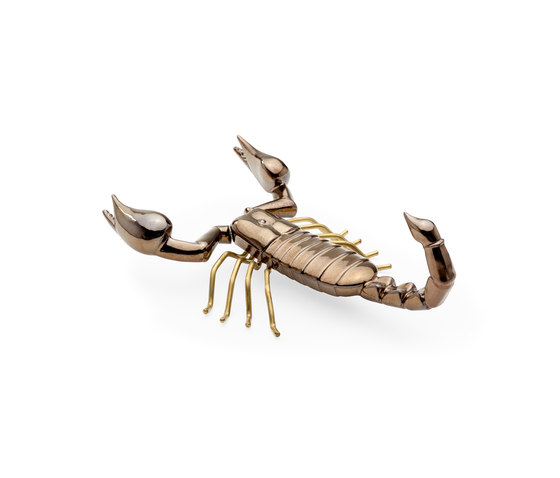 Fauna Scorpion | Objetos | Mambo Unlimited Ideas