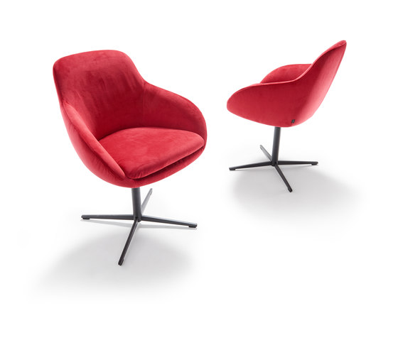 Mailo | Chairs | Signet Wohnmöbel