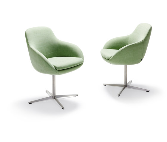 Mailo | Chairs | Signet Wohnmöbel