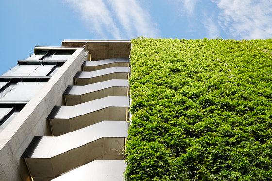Façade greening | Green facades | Jakob