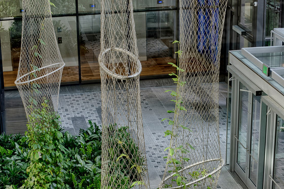 Courtyard greening | Green facades | Jakob