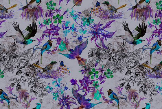 Walls By Patel | Wallpaper Funky Birds 2 | Wall coverings / wallpapers | Architects Paper