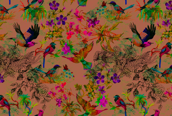 Walls By Patel | Wallpaper Funky Birds 3 | Wall coverings / wallpapers | Architects Paper