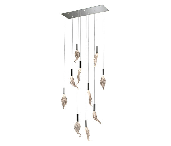 Aloe chandelier | Ceiling lights | Reflex