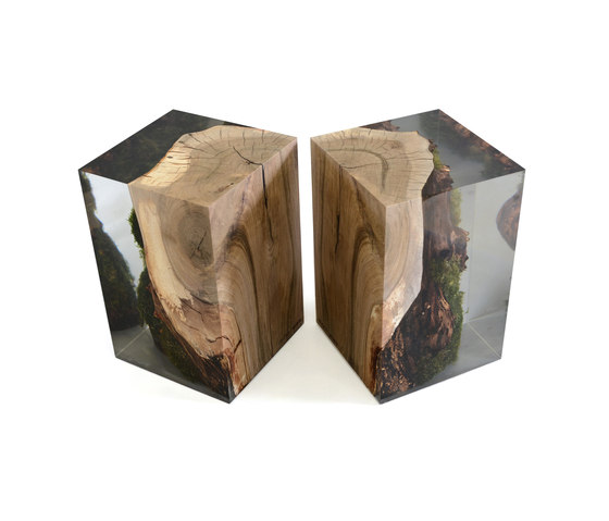 Undergrowth | Stump Stool Walnut | Side tables | Alcarol