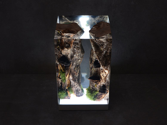Undergrowth | Moss Lamp | Table lights | Alcarol