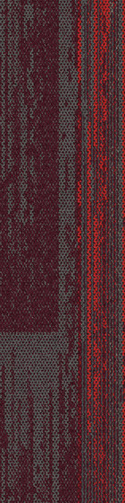 Aerial Collection AE315 Iron/Berry | Quadrotte moquette | Interface USA