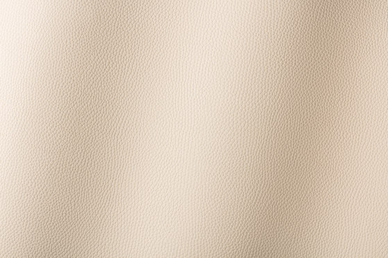 Bologna beige 018501 | Synthetic woven fabrics | AKV International