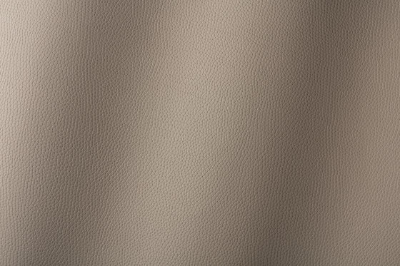 Bologna taupe 018503 | Synthetic woven fabrics | AKV International