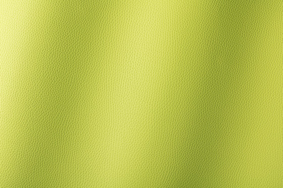 Bologna minze 018504 | Synthetic woven fabrics | AKV International