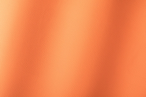 Bologna orange 018507 | Kunststoff Gewebe | AKV International