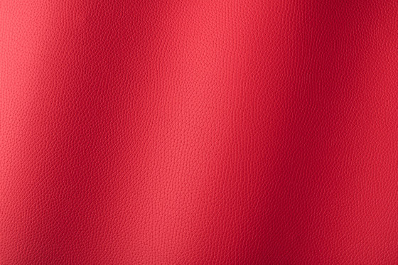 Bologna rot 018508 | Kunststoff Gewebe | AKV International