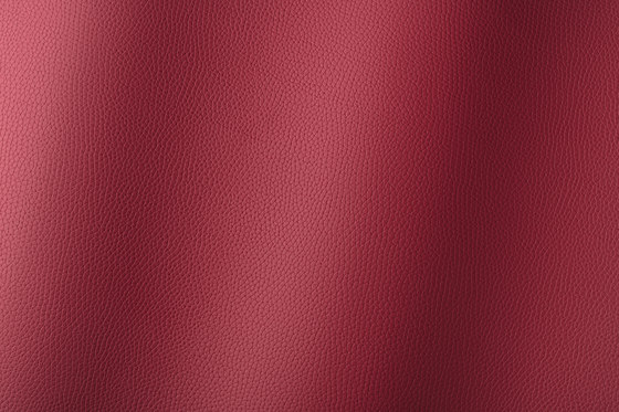 Bologna port 018510 | Synthetic woven fabrics | AKV International